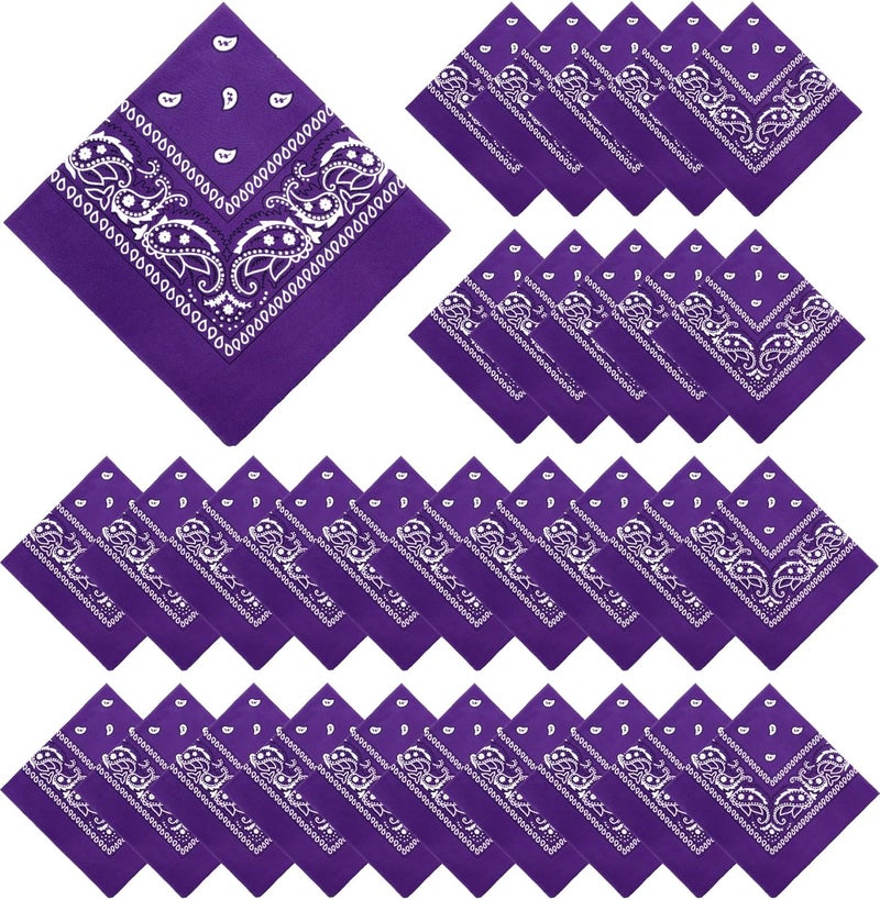 YSense 30 Pieces Paisley Bandana Unisex Multi-Purpose Bandanas Bulk Cowboy Headbands Square Scarf Head Wrap for Women Men - Image 1